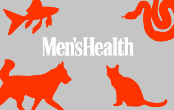 Men’s Health ‘Pets’ Infographic